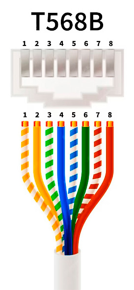 T568B распиновка