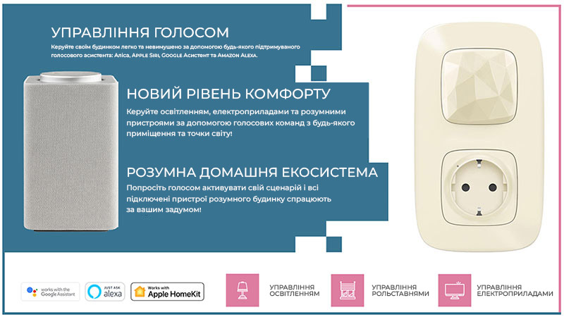 Legrand 752696 Netatmo | Шлюз з розумною розеткою
