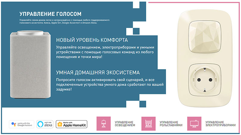 Legrand 752696 Netatmo | Шлюз с умной розеткой