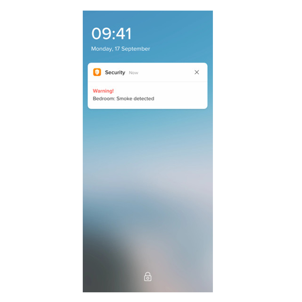 Уведомления от Legrand Netatmo 