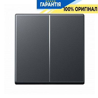 Клавиша 2-клавишный выключателя Jung Eco Profi EP495AN, антрацит
