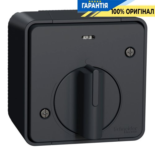 Выключатель с таймером IP55, наружный монтаж, черный, Schneider Electric Mureva Styl MUR35067