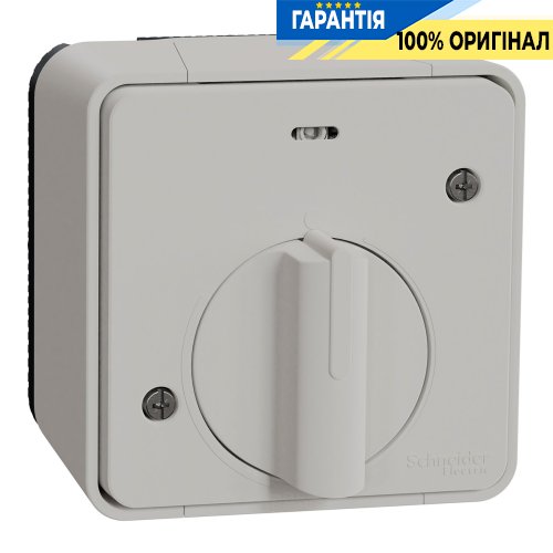 Вимикач із таймером IP55, зовнішній монтаж, білий, Schneider Electric Mureva Styl MUR39067