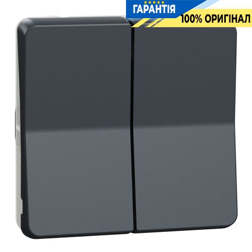 Механізм 2-клавішного перемикача IP55, чорний, Schneider Electric Mureva Styl MUR35019