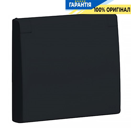 Центральная панель розетки с крышкой 2P+Z, ШУКО (IP44) «Чёрный» Efapel Apolo 5000 50634 TPT