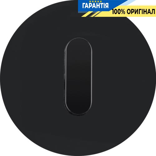Центральная панель выключателя с ручкой, стекло/черный, R.Classic, Berker 10012055