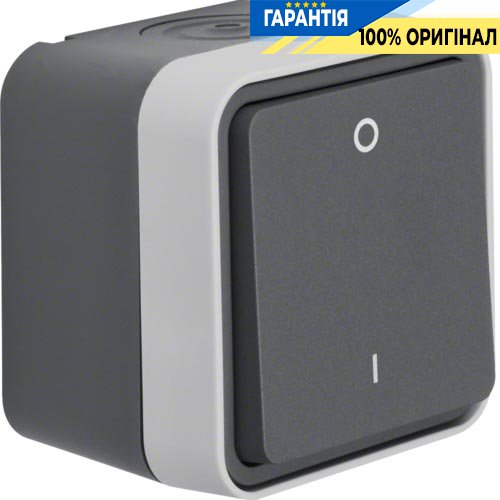 Выключатель 2-полюсный 0-І, IP55, серый, 10АX/250В W.1 Berker 30723505