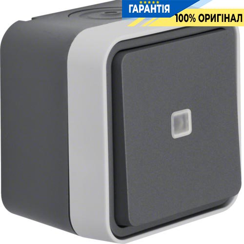 Перемикач з підсвічуванням IP55, сірий, 10АX/250В Berker W.1 30763525