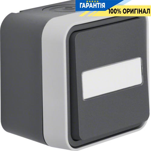 Перемикач, поле д/напису, IP55, сірий, 10АX/250В Berker W.1 30763555