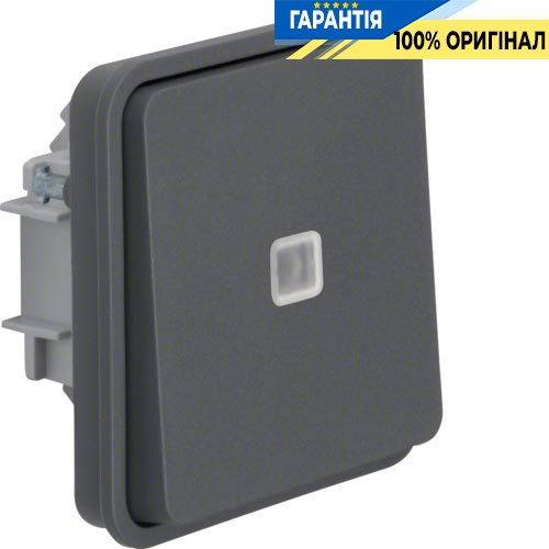 Вставка перемикача контрольного з підсвічуванням, сірий, 10АX/250В Berker W.1 30863515