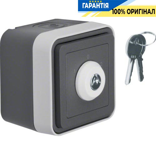 Вимикач для жалюзі замковий IP55, сірий, 10А/250В Berker W.1 32723515