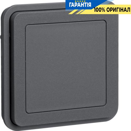 Вставка заглушки, сірий, Berker W.1 42903505