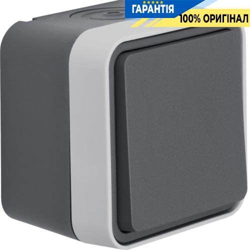 Кнопка IP55, сірий, 10АX/250В Berker W.1 50453525