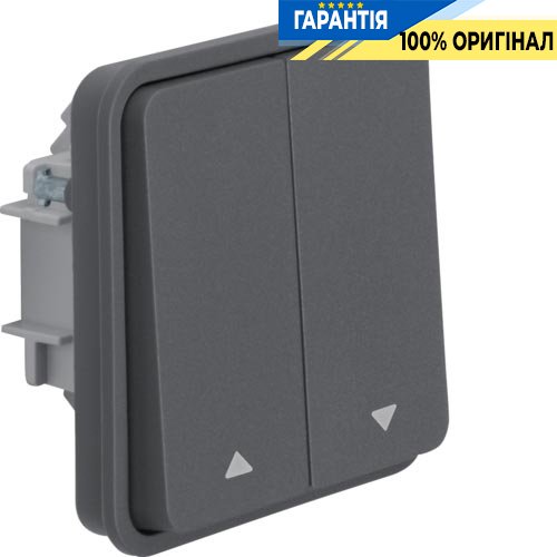 Вставка кнопки для жалюзі 2-клавішна, сірий, 10А/250В Berker W.1 50553525
