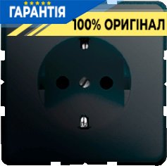 Розетка із заземленням Jung CD520SW чорний