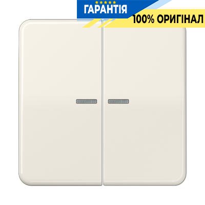 Клавіша 2-а з підсвічуванням Jung CD595KO5 сл. кістка