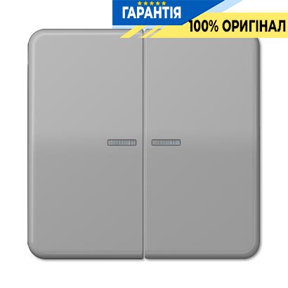 Клавіша 2-а з підсвічуванням Jung CD595KO5GR сірий