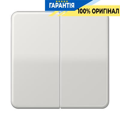 Клавіша 2-а Jung CD595LG світло-сірий