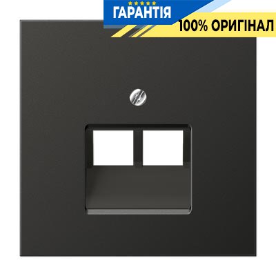 Панель розетки TF/PC 2-я Jung AL2969-2UAAN Антрацит