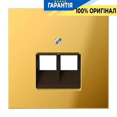 Панель розетки TF / PC 2-а LS969-2UAGGO золото