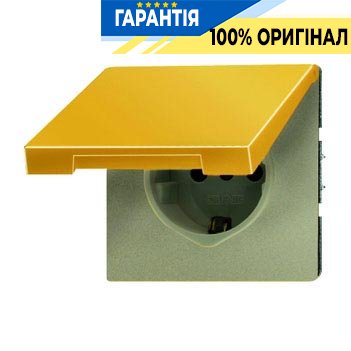 Розетка с з/к с крышкой Jung GO1520KL имитация золота