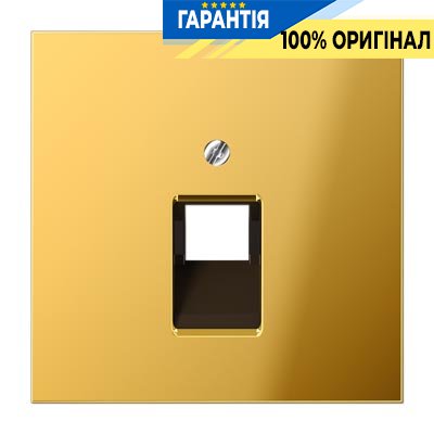 Панель розетки TF/PC 1-а Jung GO2969-1UA імітація золота