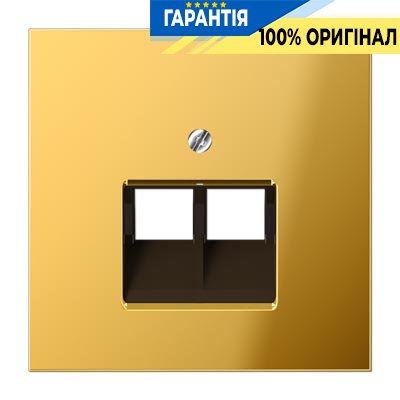 Панель розетки TF/PC 2-я Jung GO2969-2UA имитация золота