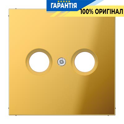 Панель розетки TV+R Jung GO2990TV імітація золота