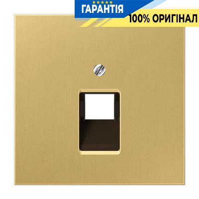 Панель розетки TF/PC 1-я Jung ME 2969-1UA C латунь Classic