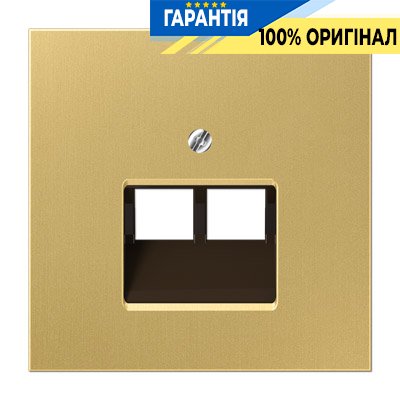 Панель розетки TF/PC 2-я Jung ME 2969-2UA C латунь Classic