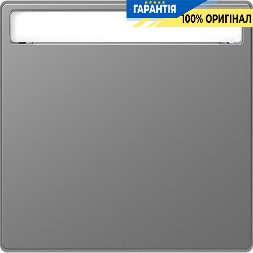 Клавиша 1-а с полем для надписи D-Life «Нержавеющая сталь» Merten MTN3360-6036