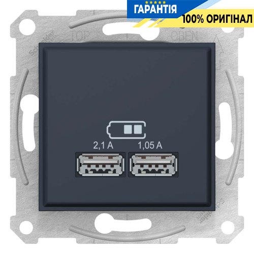 Розетка 2-а з USB виходами для зарядки Schneider Electric SDN2710270, графіт