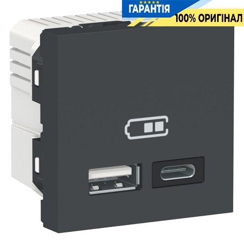 Двойная USB розетка A+C Unica New, Schneider Electric NU301854, антрацит