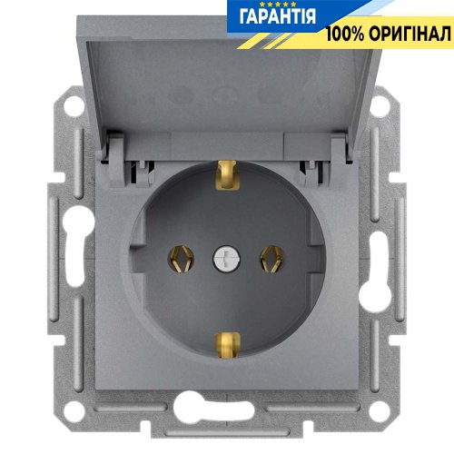 Розетка із заземленням і кришкою «Asfora», (сталь) Schneider Electric EPH3100162