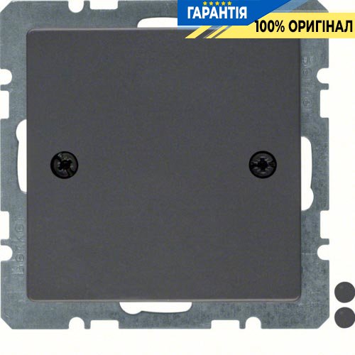 Заглушка с центральной панелью, антрацит, «Q.1» «Q.3» «Q7» Berker 10096076