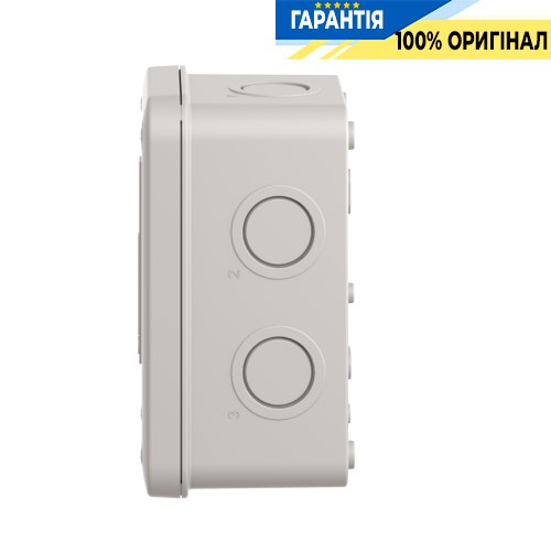 Порожній світло-сірий кнопковий пост з 2 отворами Harmony XALE Schneider Electric XALE2
